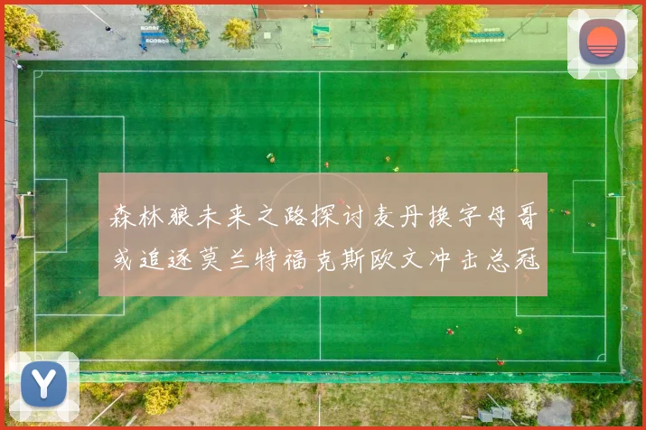 森林狼未来之路探讨麦丹换字母哥或追逐莫兰特福克斯欧文冲击总冠军